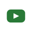 Icona-social
